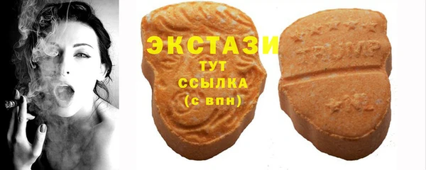 ECSTASY Алзамай