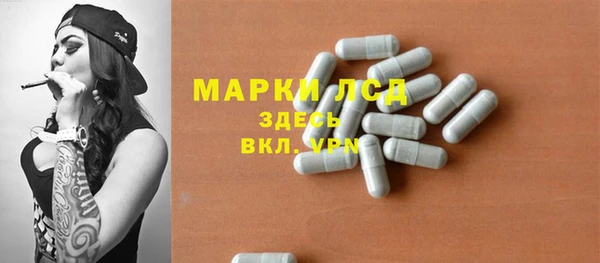 ECSTASY Алзамай
