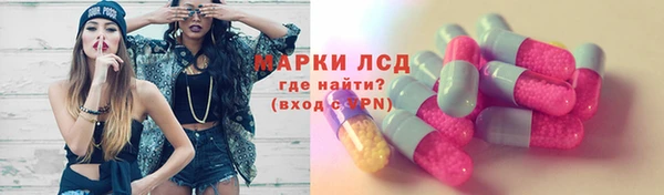 гидра Алексин