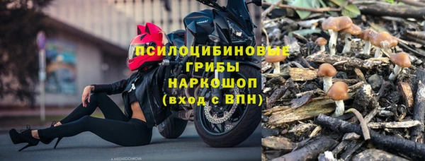 гидра Алексин